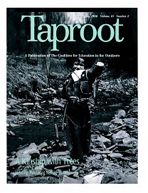 Vol 10(2) - July 1996